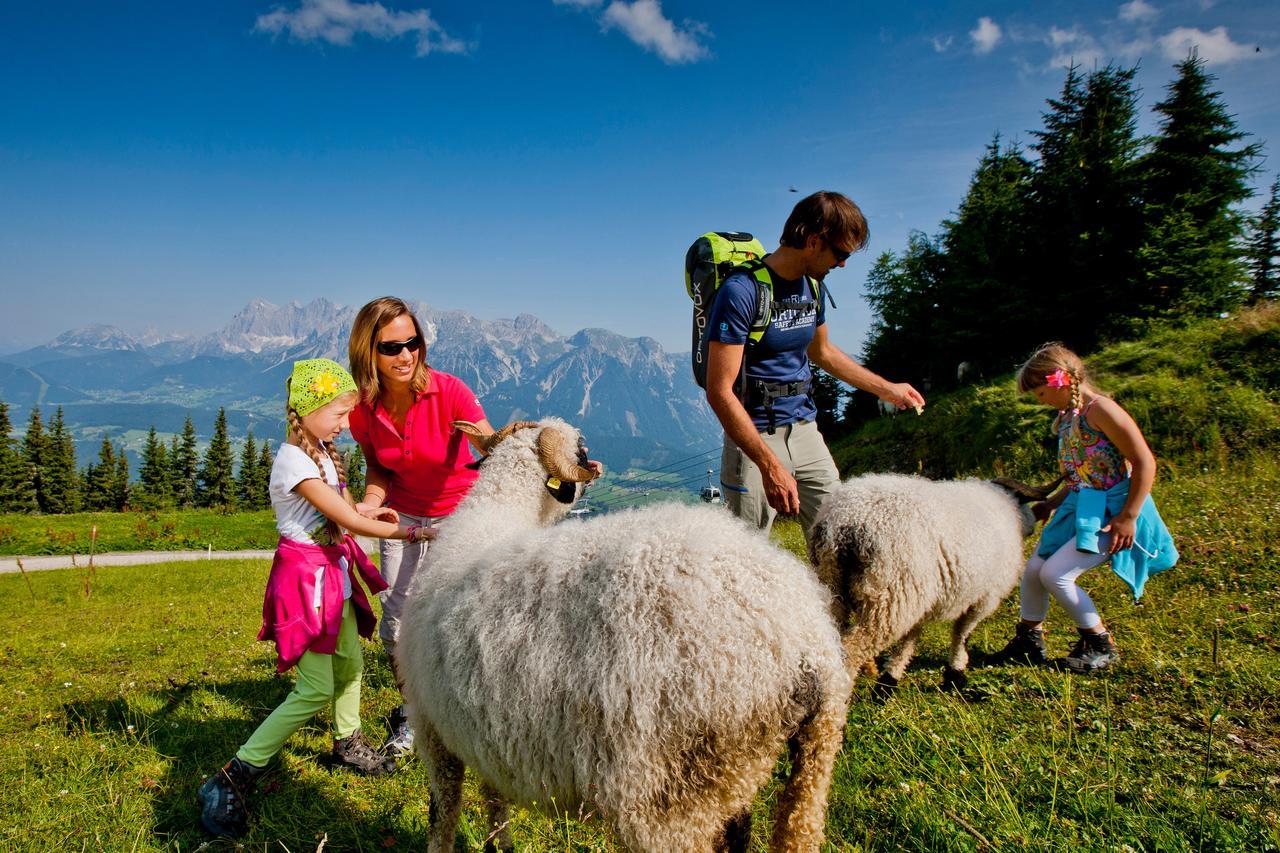Alpenrock Appartements By Schladming-Appartements Esterno foto